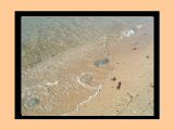 08 Penguin Island.jpg